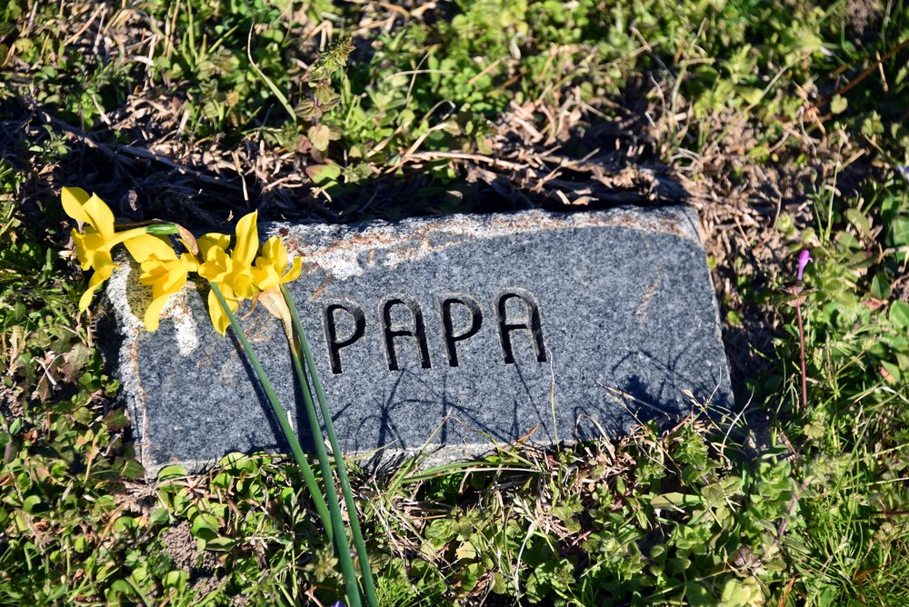 anak kehilangan ayah